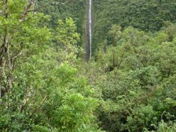 Visite de la petite cousine !